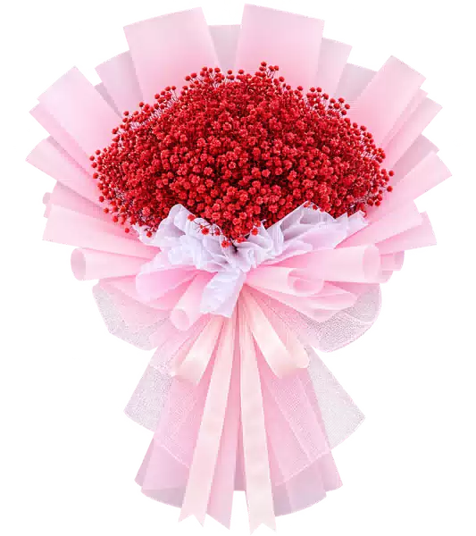 Bó Hoa Baby Đỏ Gói Hồng