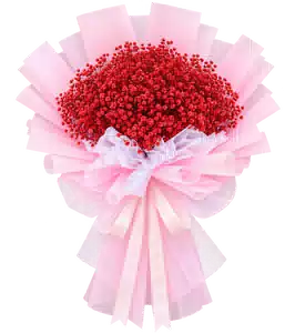Bó Hoa Baby Đỏ Gói Hồng