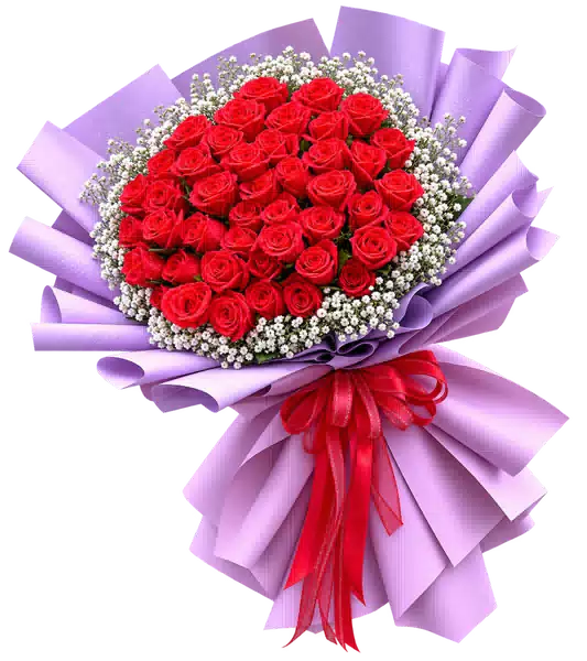 Bó Hoa Hồng Đỏ Gói Tím