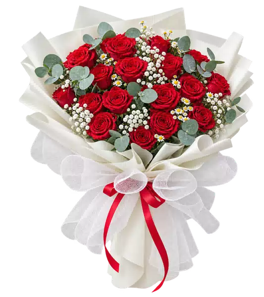 Bó Hoa Hồng Đỏ Gói Trắng