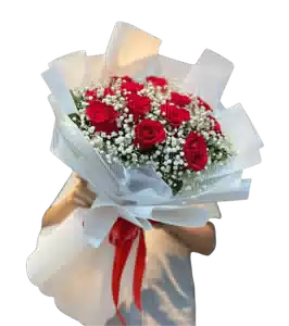 Bó Hoa Hồng Đỏ Gói Trắng