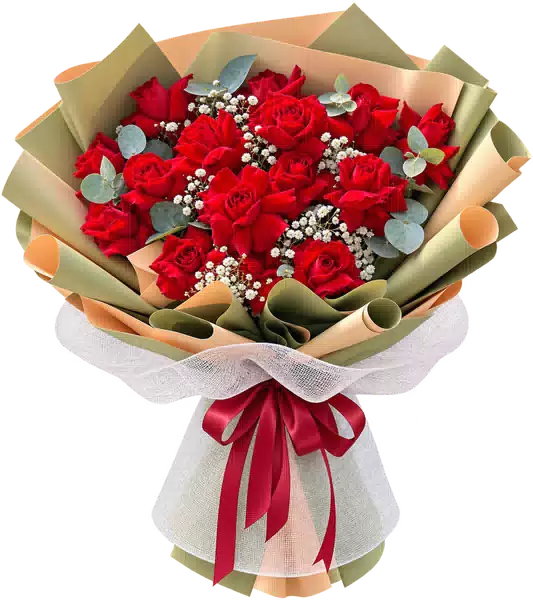 Bó Hoa Hồng Đỏ Gói Xanh Ô Liu