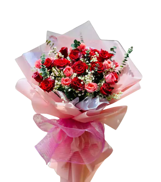 Bó Hoa Hồng Đỏ Hồng Đa Sắc