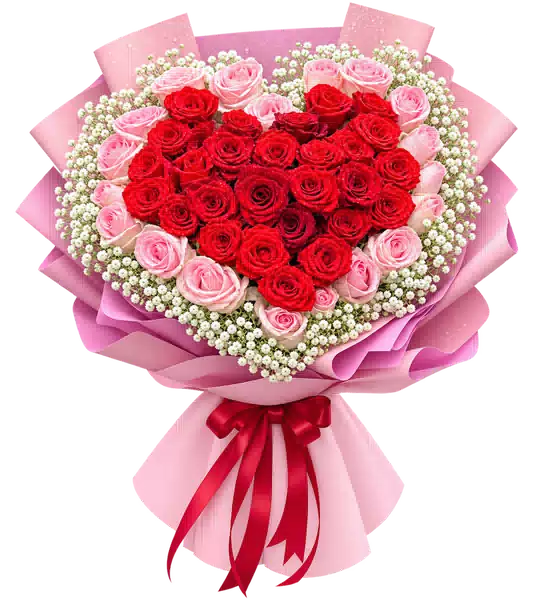 Bó Hoa Hồng Đỏ Hồng Xếp Trái Tim