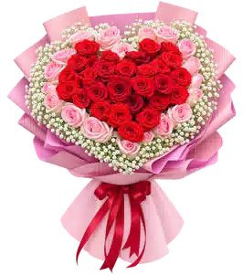 Bó Hoa Hồng Đỏ Hồng Xếp Trái Tim