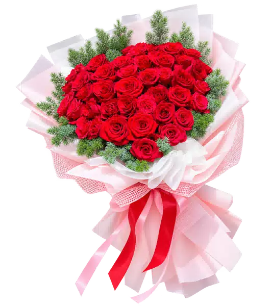 Bó Hoa Hồng Đỏ Lớn Gói Hồng