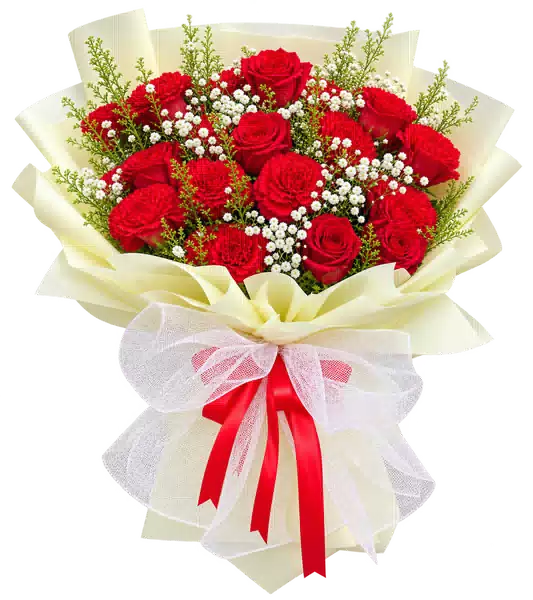Bó Hoa Hồng Đỏ Phối Cẩm Chướng