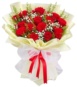 Bó Hoa Hồng Đỏ Phối Cẩm Chướng