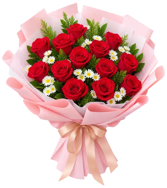 Bó Hoa Hồng Đỏ Phối Cúc Trắng Gói Hồng