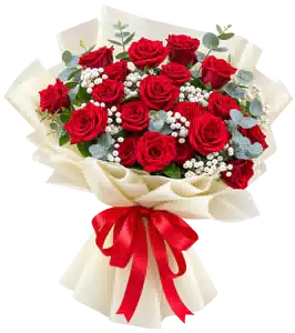 Bó Hoa Hồng Đỏ Phối Hoa Phụ