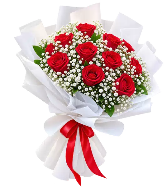 Bó Hoa Hồng Đỏ Phối Hoa Phụ