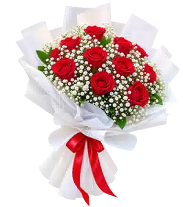 Bó Hoa Hồng Đỏ Phối Hoa Phụ