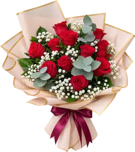 Bó Hoa Hồng Đỏ Phối Hoa Phụ