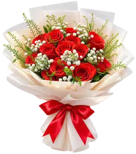 Bó Hoa Hồng Đỏ Phối Hoa Phụ
