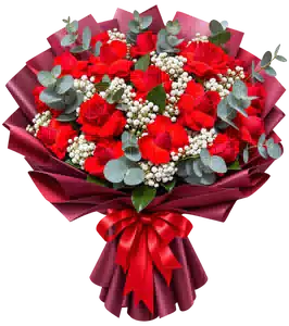 Bó Hoa Hồng Đỏ Phối Hoa Phụ