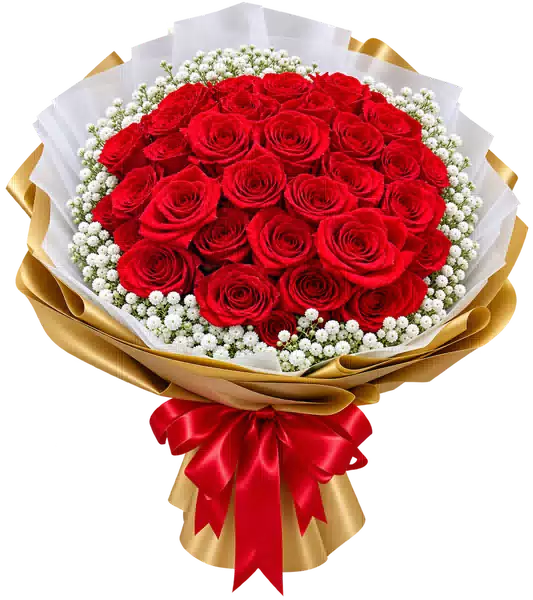Bó Hoa Hồng Đỏ Phối Hoa Phụ