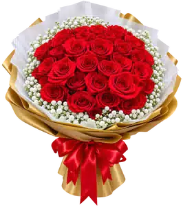 Bó Hoa Hồng Đỏ Phối Hoa Phụ