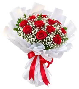 Bó Hoa Hồng Đỏ Phối Hoa Phụ