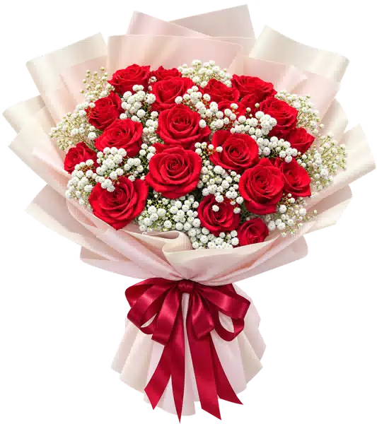 Bó Hoa Hồng Đỏ Phối Hoa Phụ