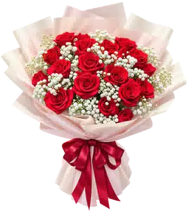 Bó Hoa Hồng Đỏ Phối Hoa Phụ