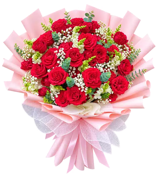 Bó Hoa Hồng Đỏ Phối Hoa Phụ