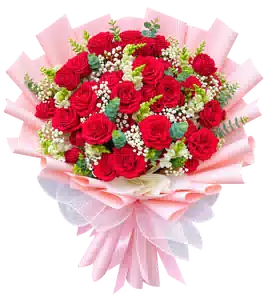 Bó Hoa Hồng Đỏ Phối Hoa Phụ