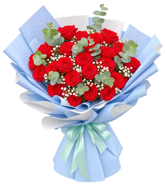 Bó Hoa Hồng Đỏ Phối Hoa Phụ