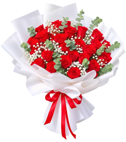 Bó Hoa Hồng Đỏ Phối Hoa Phụ