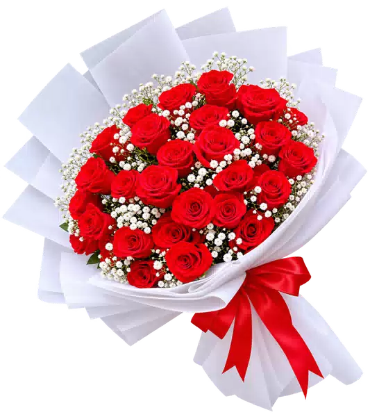Bó Hoa Hồng Đỏ Phối Hoa Phụ