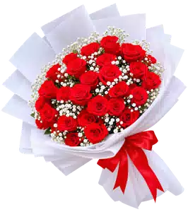 Bó Hoa Hồng Đỏ Phối Hoa Phụ