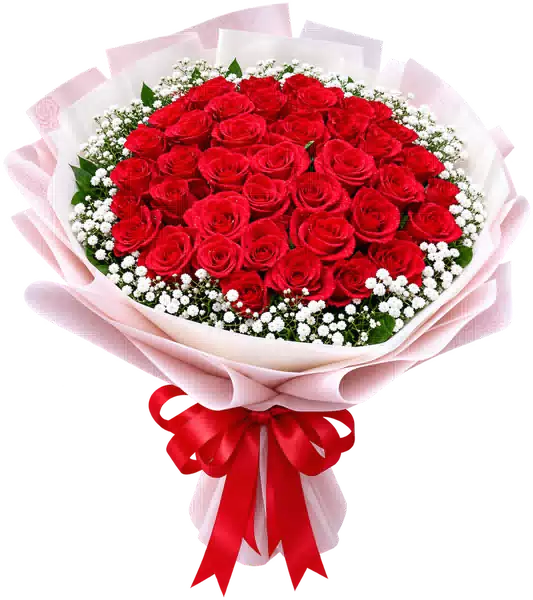 Bó Hoa Hồng Đỏ Phối Hoa Phụ