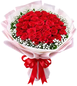 Bó Hoa Hồng Đỏ Phối Hoa Phụ