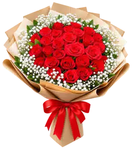 Bó Hoa Hồng Đỏ Phối Hoa Phụ