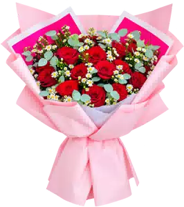 Bó Hoa Hồng Đỏ Phối Hoa Phụ