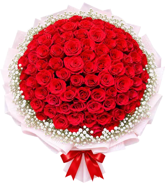 Bó Hoa Hồng Đỏ Phối Hoa Phụ