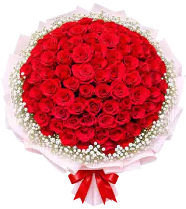 Bó Hoa Hồng Đỏ Phối Hoa Phụ