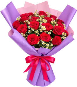 Bó Hoa Hồng Đỏ Phối Hoa Phụ