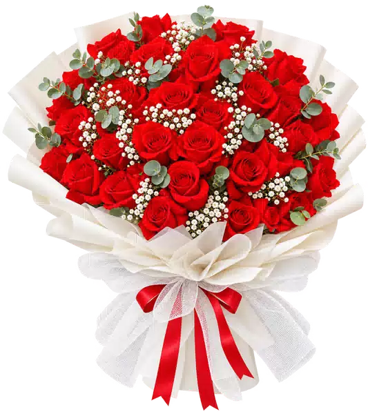 Bó Hoa Hồng Đỏ Phối Hoa Phụ
