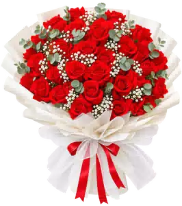 Bó Hoa Hồng Đỏ Phối Hoa Phụ