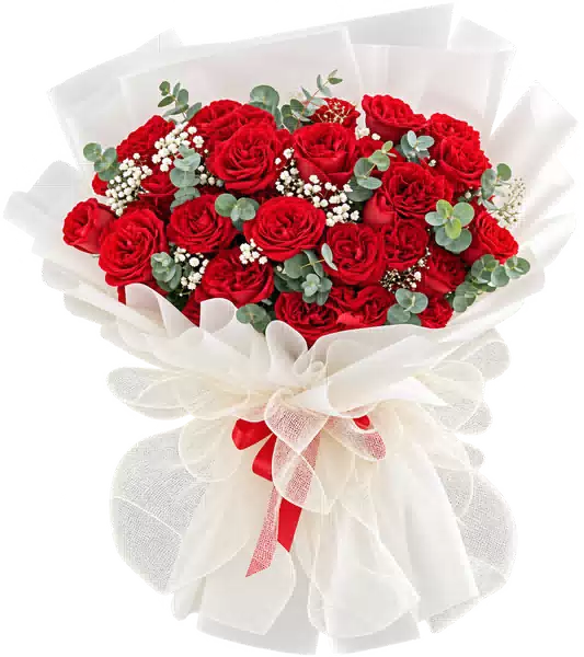 Bó Hoa Hồng Đỏ Phối Hoa Phụ