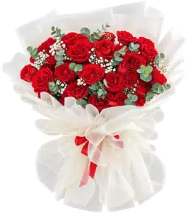 Bó Hoa Hồng Đỏ Phối Hoa Phụ