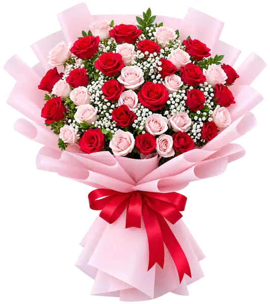 Bó Hoa Hồng Hồng Phối Hoa Phụ