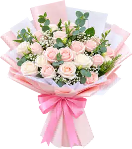 Bó Hoa Hồng Hồng Phối Hoa Phụ