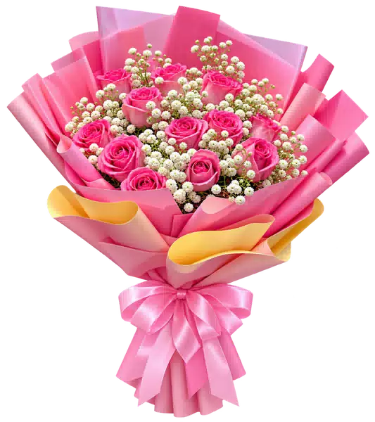 Bó Hoa Hồng Hồng Phối Hoa Phụ