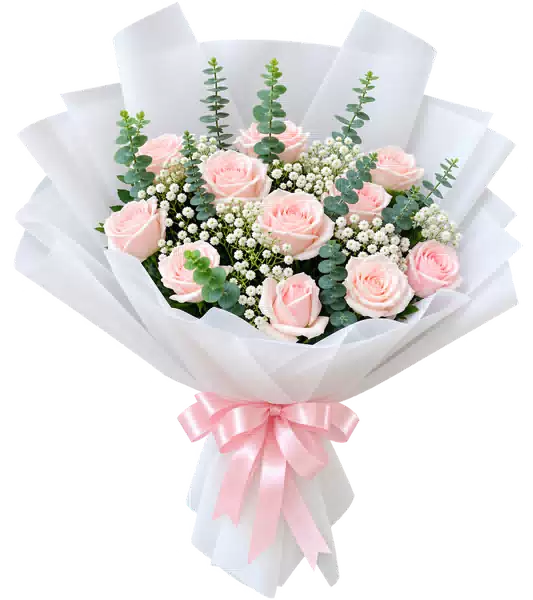 Bó Hoa Hồng Hồng Phối Hoa Phụ