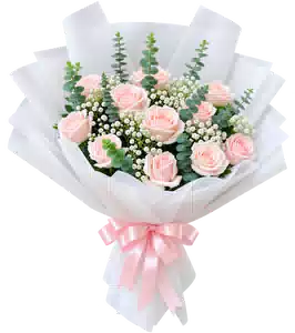 Bó Hoa Hồng Hồng Phối Hoa Phụ