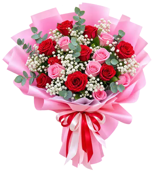 Bó Hoa Hồng Hồng Phối Hoa Phụ