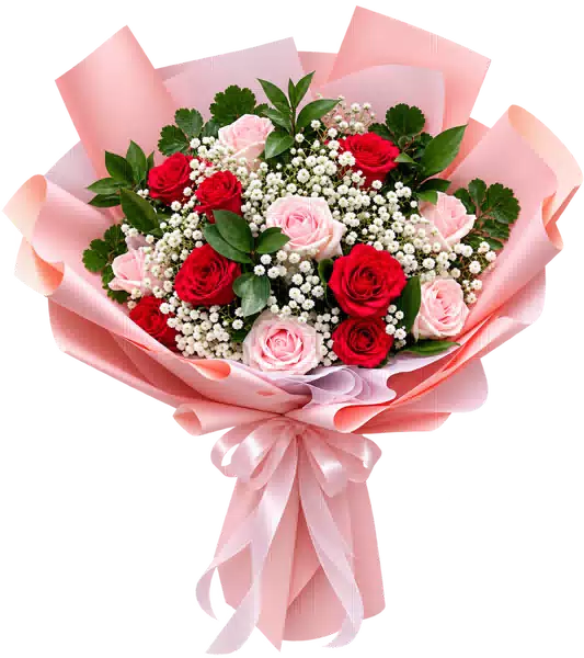 Bó Hoa Hồng Hồng Phối Hoa Phụ