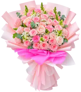 Bó Hoa Hồng Hồng Phối Hoa Phụ