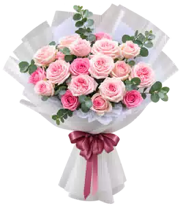 Bó Hoa Hồng Hồng Phối Hoa Phụ